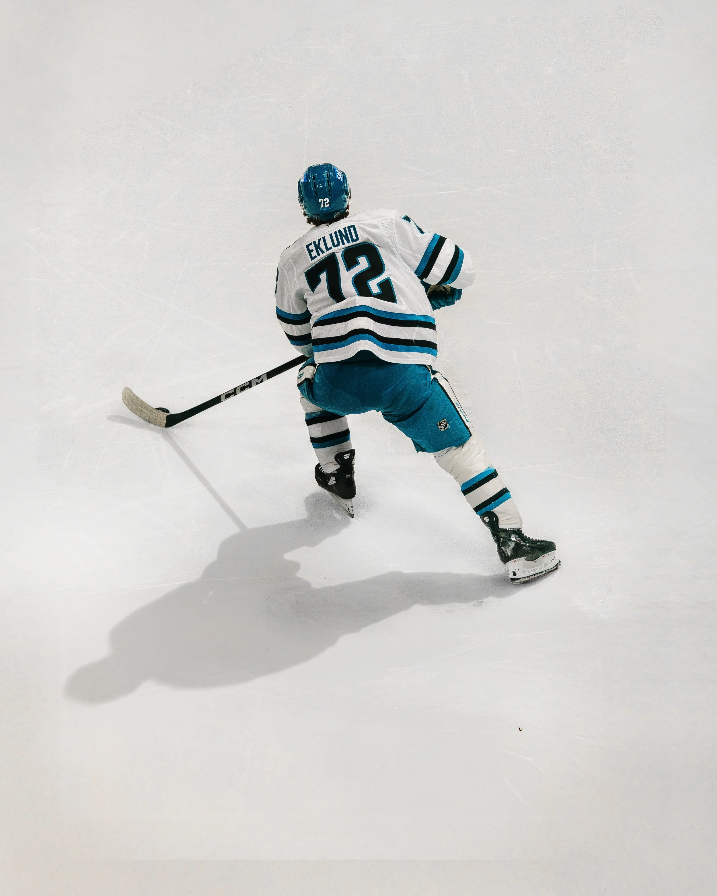 sj_sharks_san_jose_hockey_derek_bahn_21.jpg