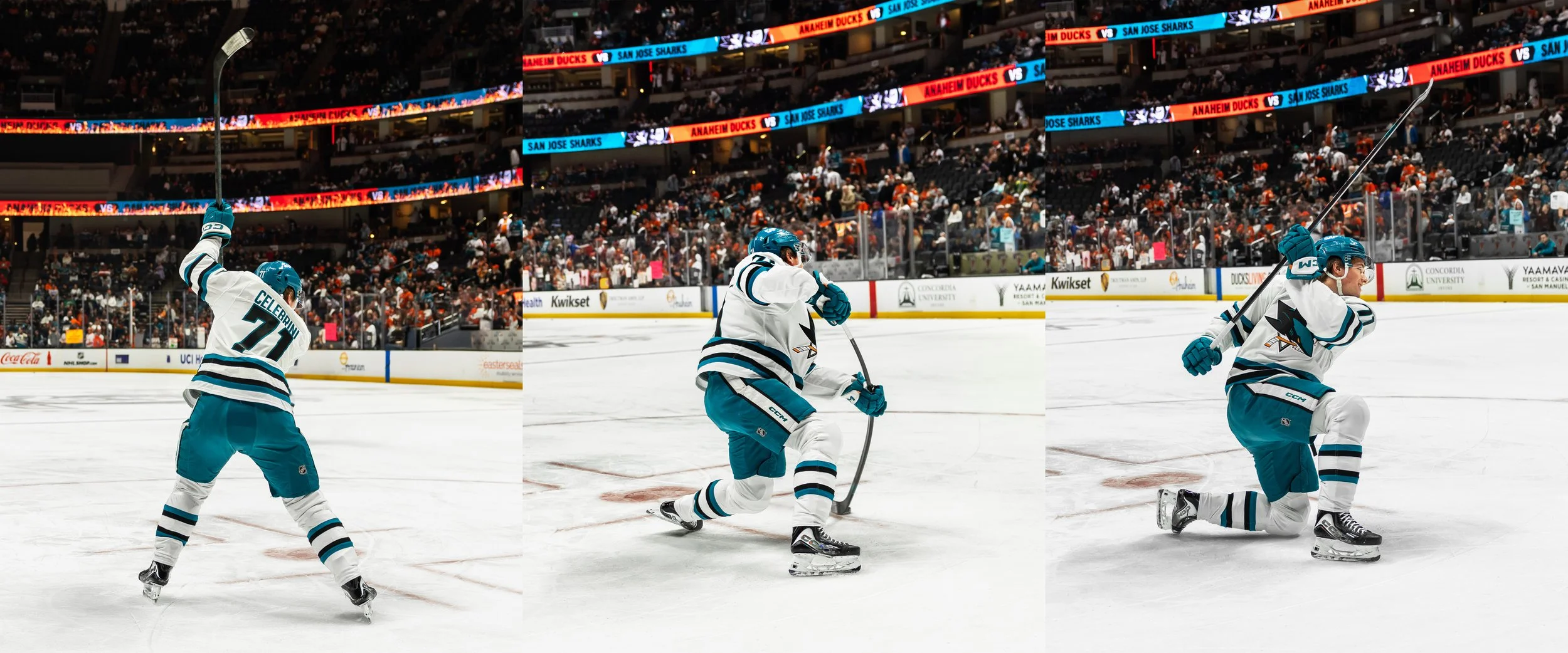 sj_sharks_san_jose_hockey_derek_bahn_29.jpg