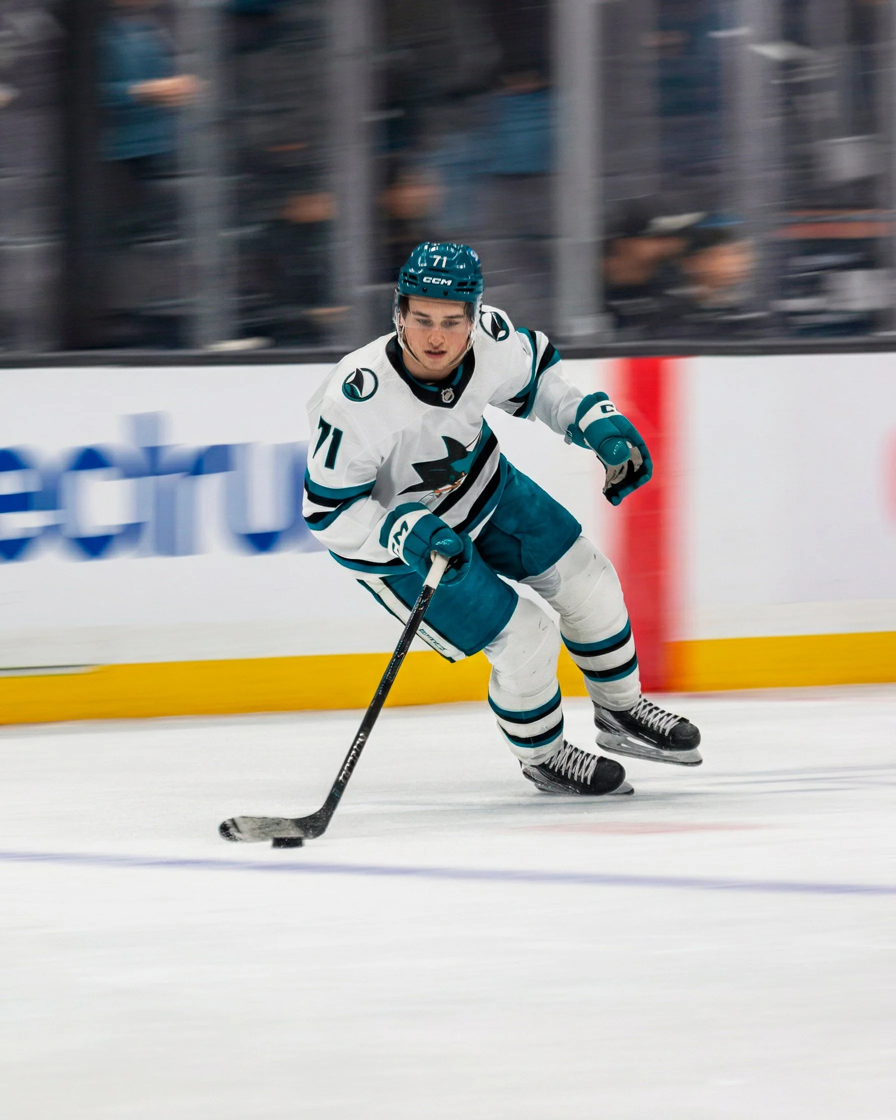 sj_sharks_san_jose_hockey_derek_bahn_17.jpg
