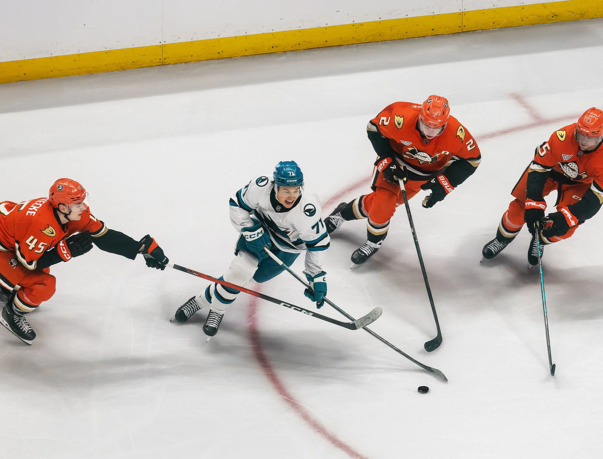 sj_sharks_san_jose_hockey_derek_bahn_18.jpg