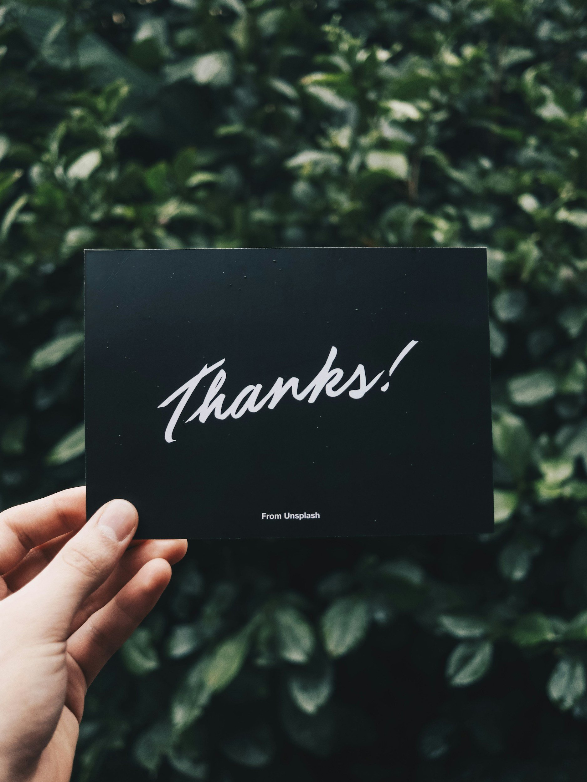 A hand holding a black card with white cursive text saying 'Thanks!' in front of green leafy background.
