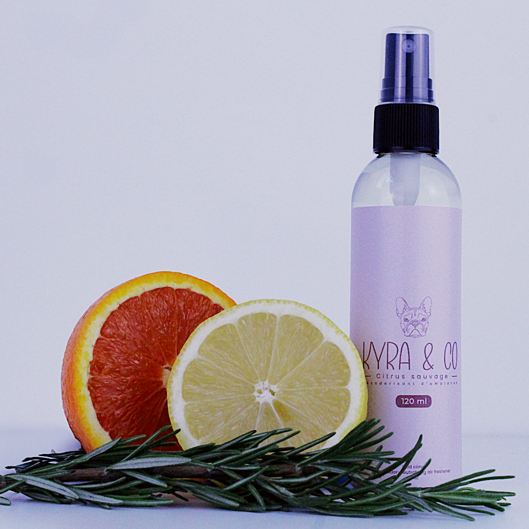 Désodorisant d'ambiance - Citrus sauvage