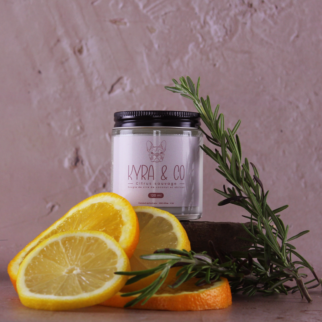 Bougie - Citrus sauvage