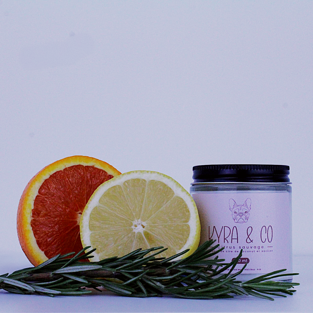 Bougie - Citrus sauvage