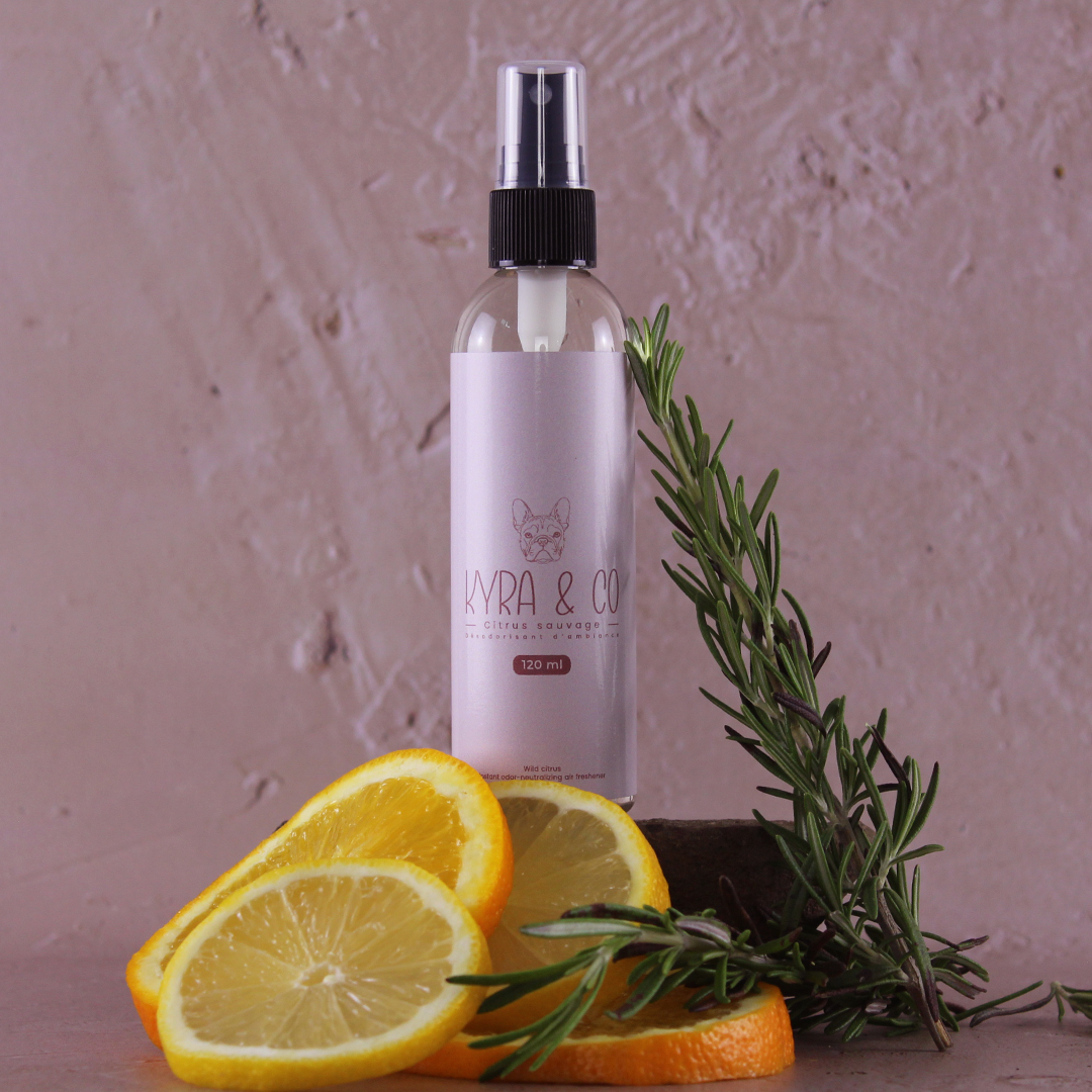 Désodorisant d'ambiance - Citrus sauvage