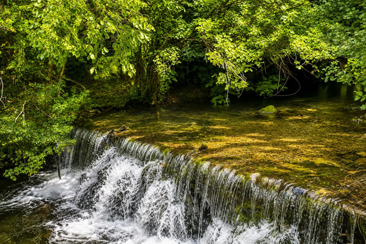 riviere-moulin-formation.jpeg