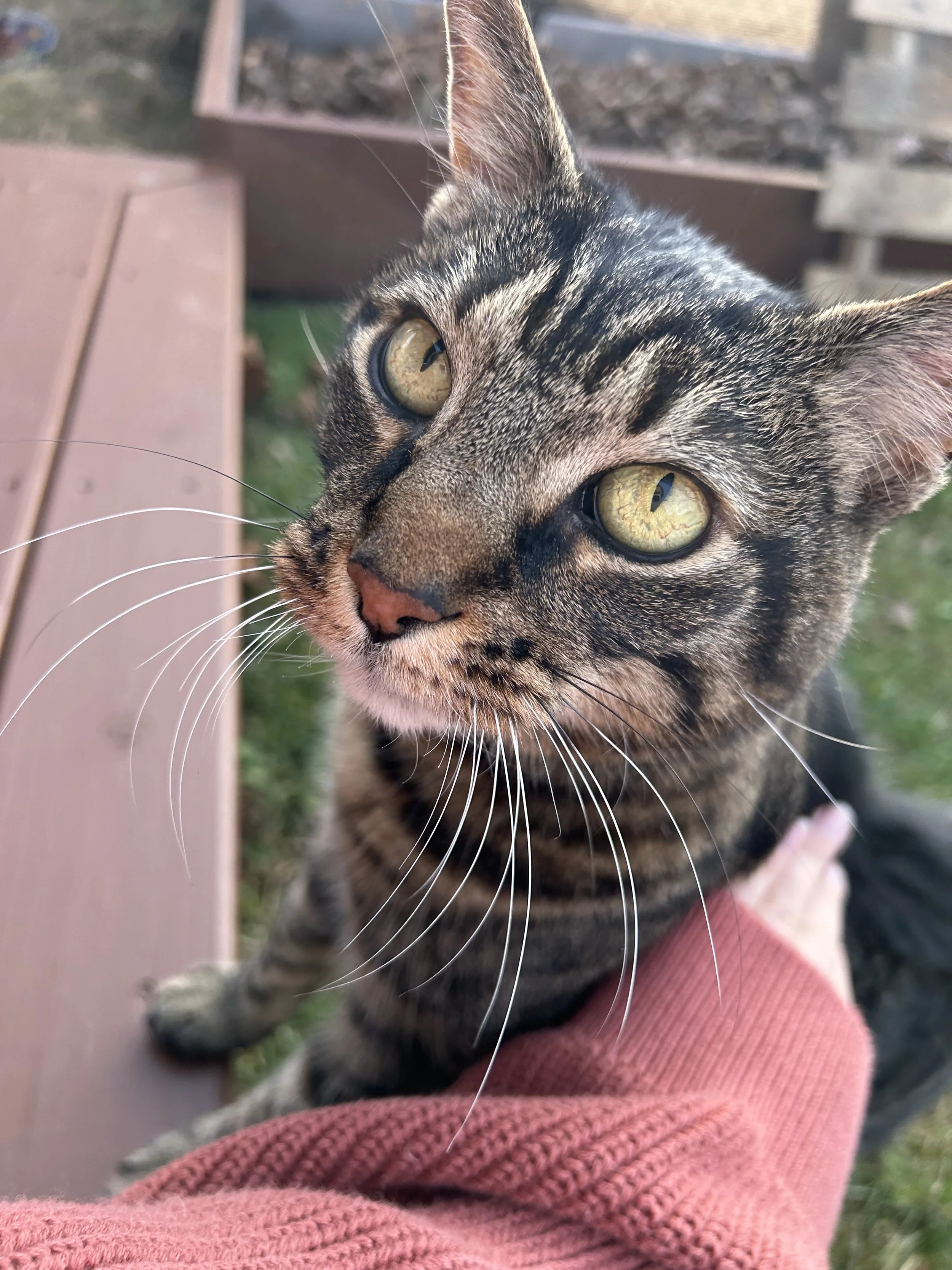 Do you actually know yourself, or just what others are comfortable with?