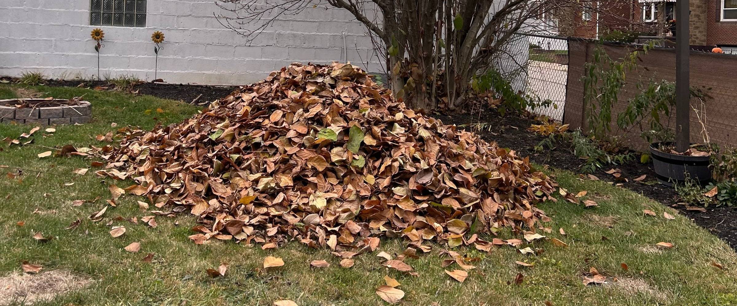 A little hope for the short, dark days ahead