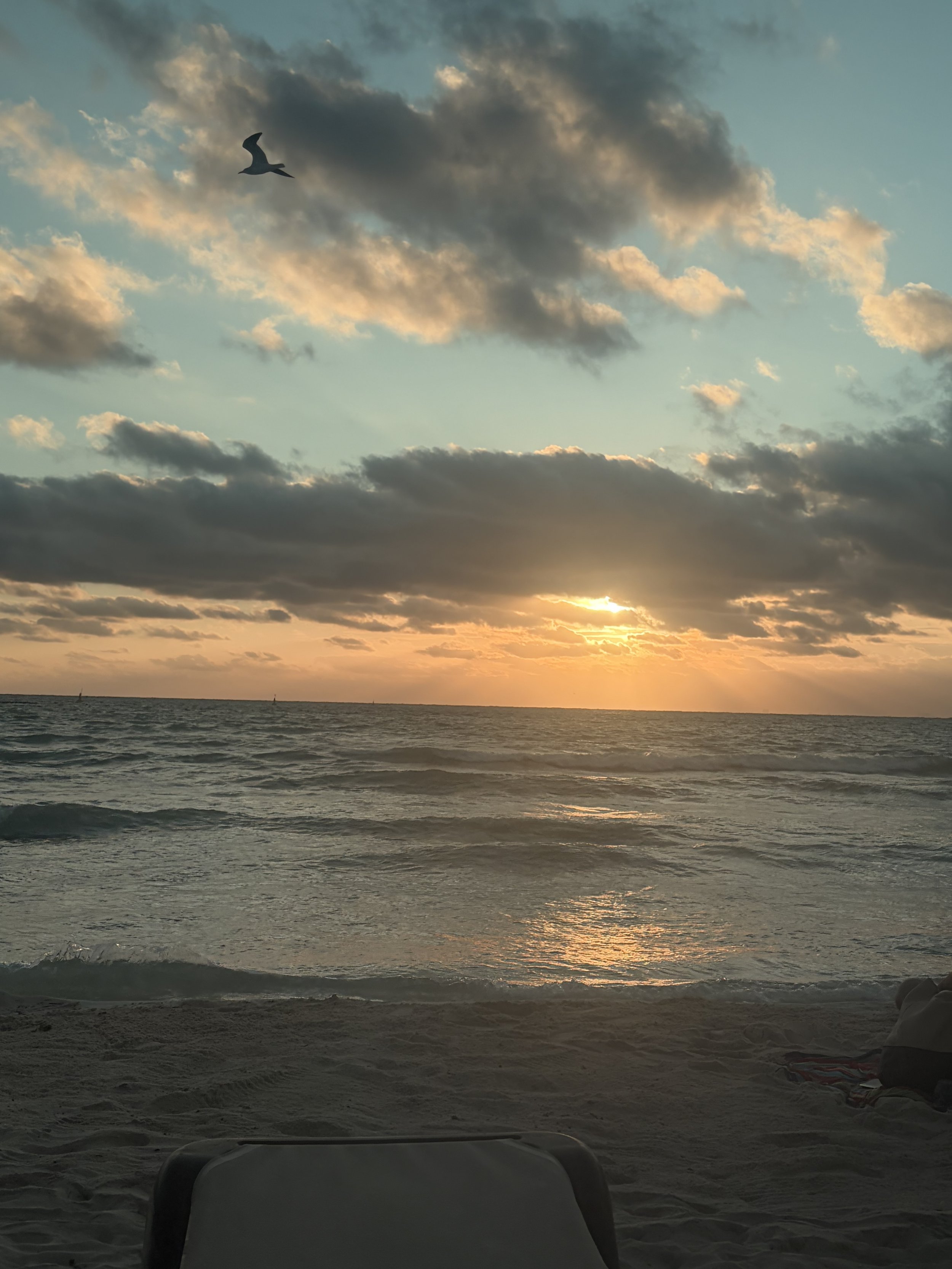 I don’t know about snake oil, but I sure have snake milk