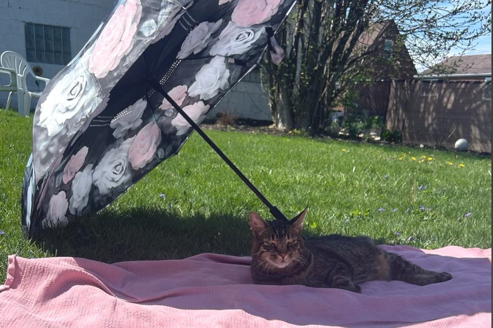 How Far will You Go?