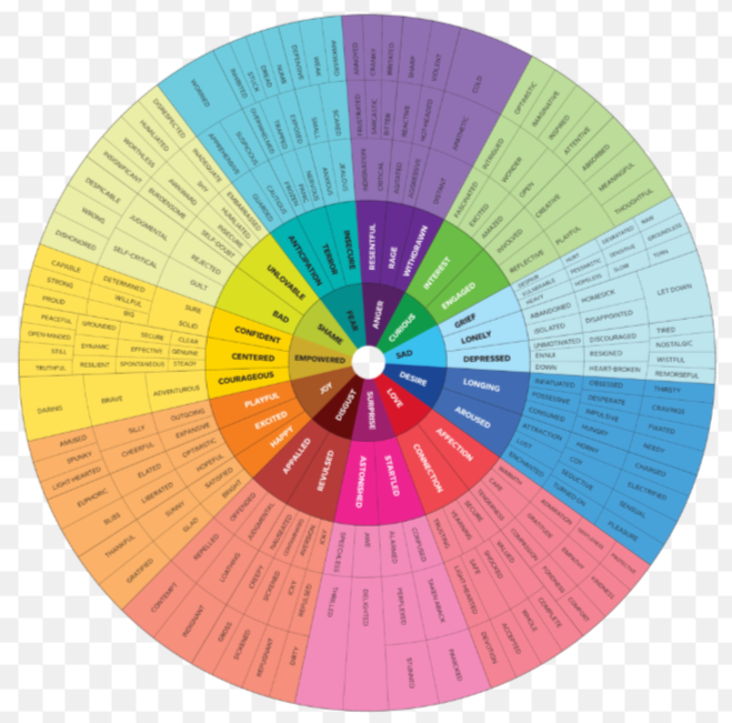 A circular chart displaying various emotions and their related feelings, organized by color. The chart includes emotions like happy, sad, angry, afraid, and many others, with specific feelings listed under each.