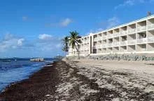 Beachside view of Divi All Inclusive adults only resort with palm trees, and a sandy shoreline under a clear blue sky.