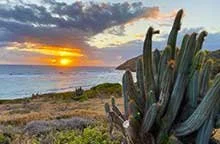 Sunrise on the east end of St Croix over the ocean with cacti and rocky coastline.