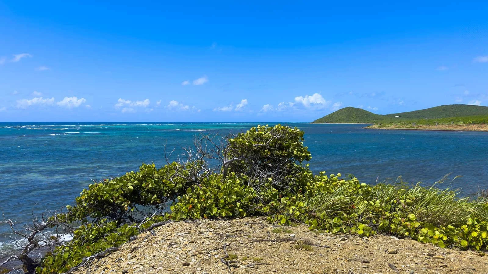 A coastal landscape with a rocky foreground, lush green bushes, blue ocean water, distant green hills, and a partly cloudy sky.