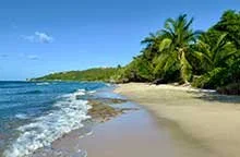 Tropical beach on the northwest side of St Croix with palm trees, white sand, and blue ocean under a clear sky.