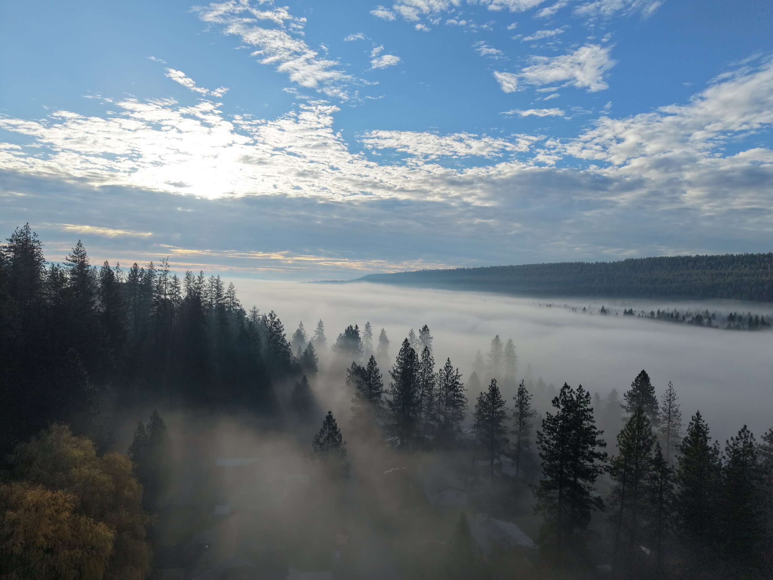 View of a forested landscape with fog covering the trees, layered with clouds in a blue sky.
