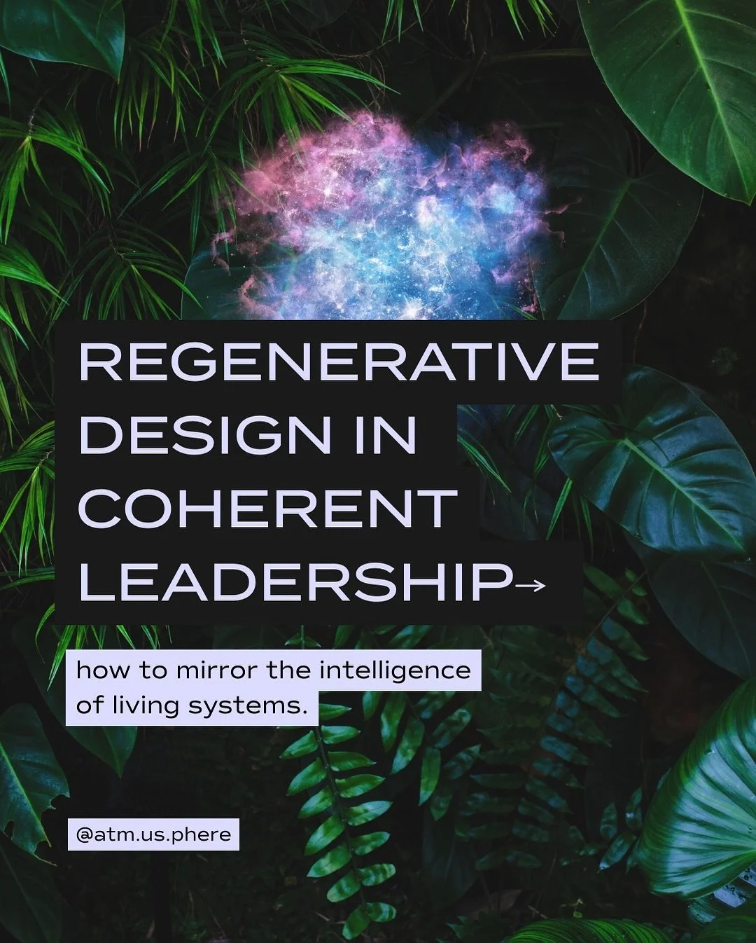 regenerative design invites us to lead the way nature leads &mdash; through rhythm, reciprocity, &amp; renewal. 

when our leadership mirrors the cycles of growth, harvest, rest, &amp; return, our ecosystems thrive. creativity replenishes. relationsh