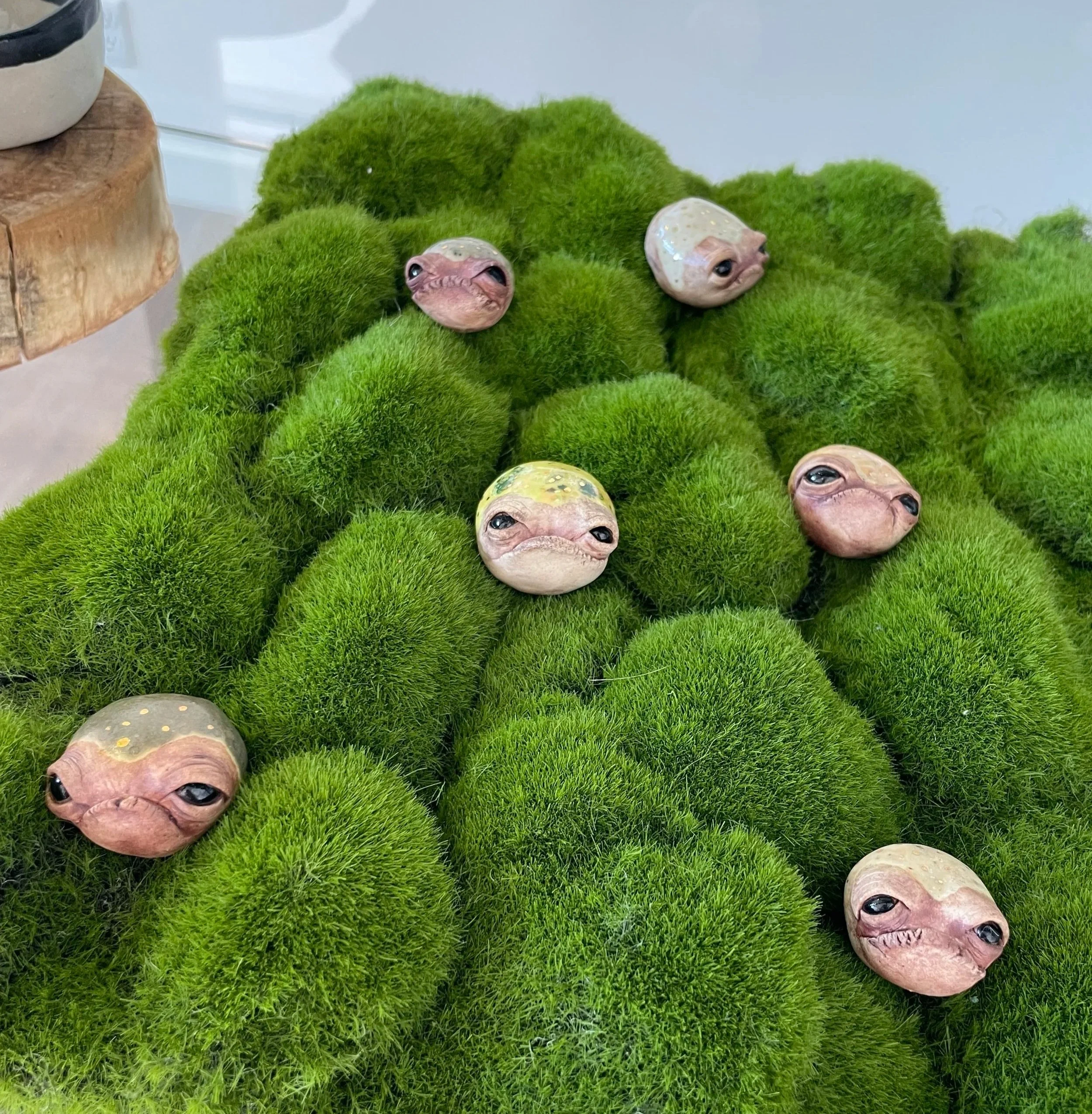 Toadlettes by Kaylin Rose