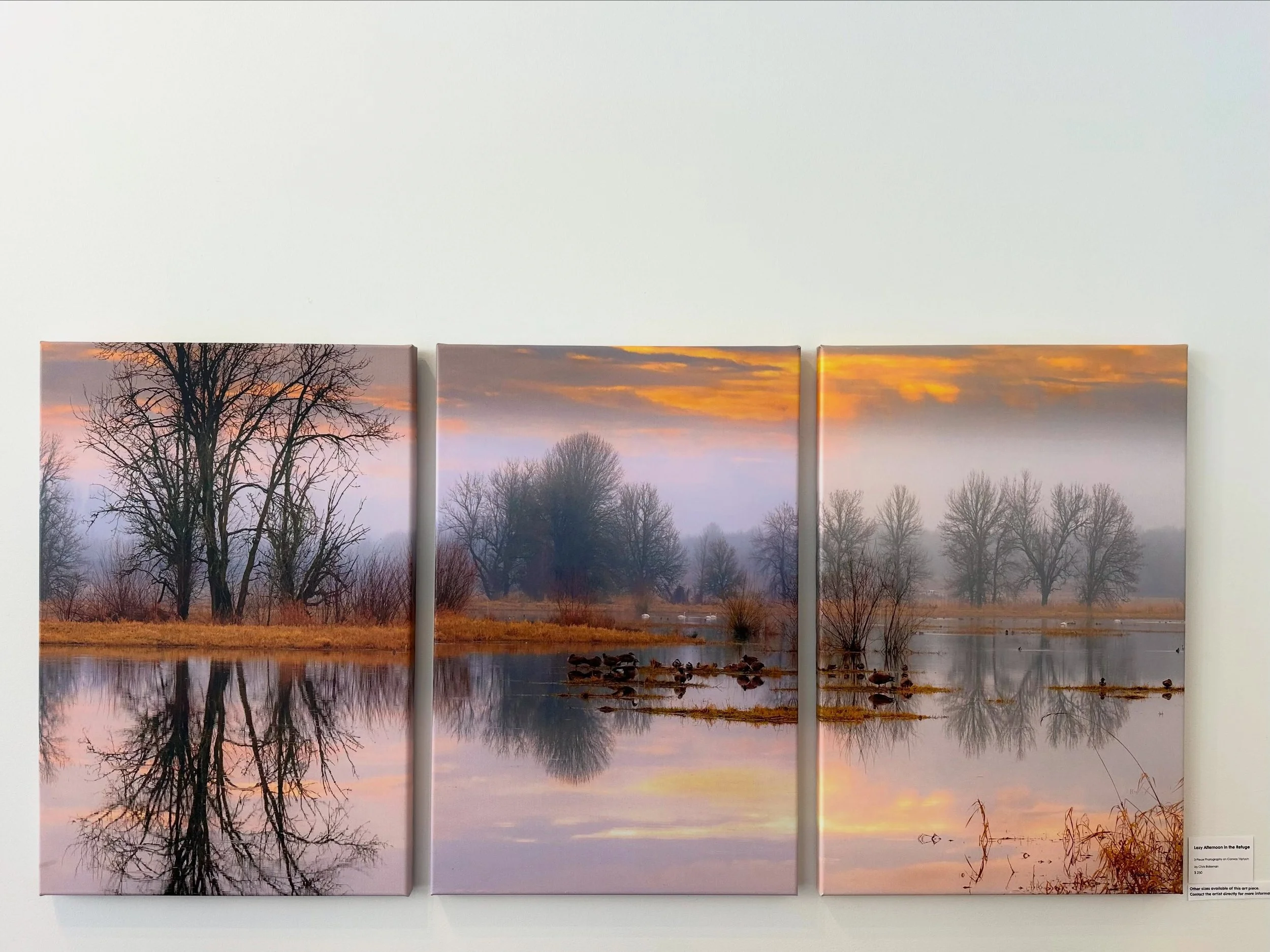 Lazy Afternoon in the Refuge by Chris Bidleman 

3-Piece Photography on Canvas Triptych