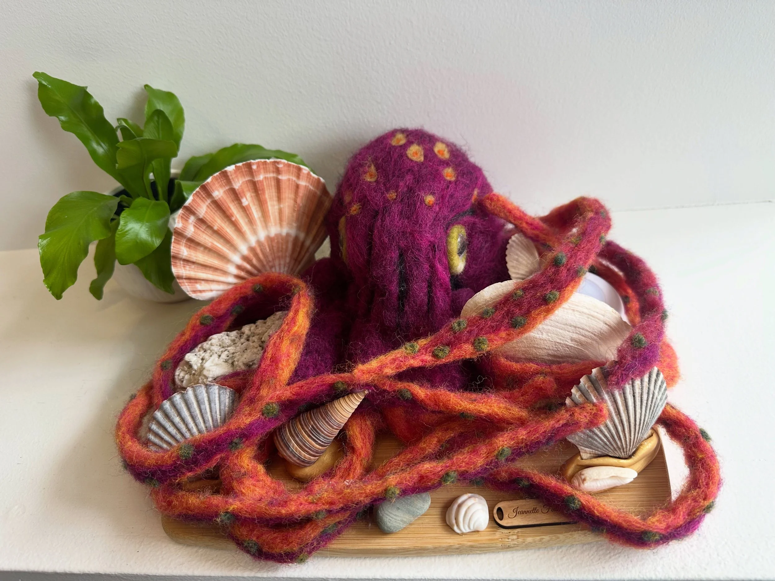 Color Changing Octopus by Jeannette Fedorka 

Needle Felt