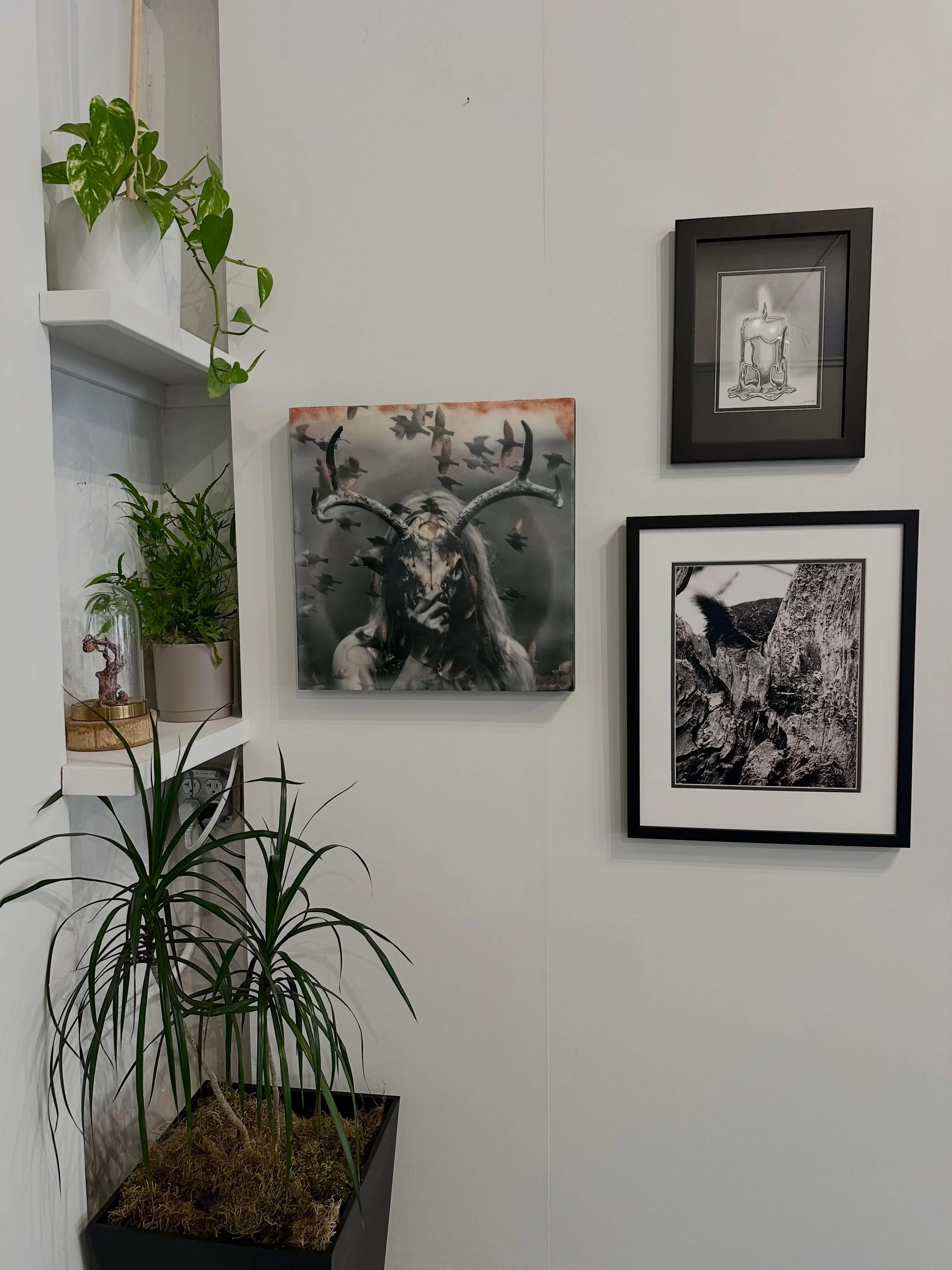 Loving this corner displaying some beautiful pieces from our current Mythos show

If you missed the reception, worry not, pieces will be on display till the end of the month