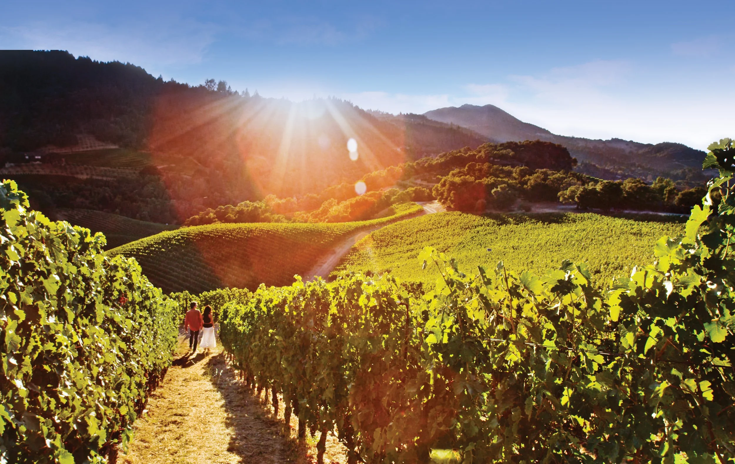 Visit Napa Valley