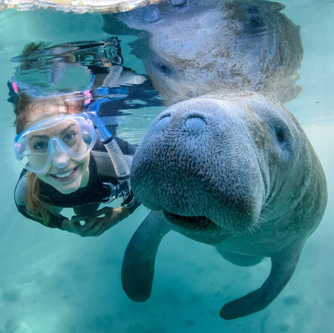 Discover Crystal River