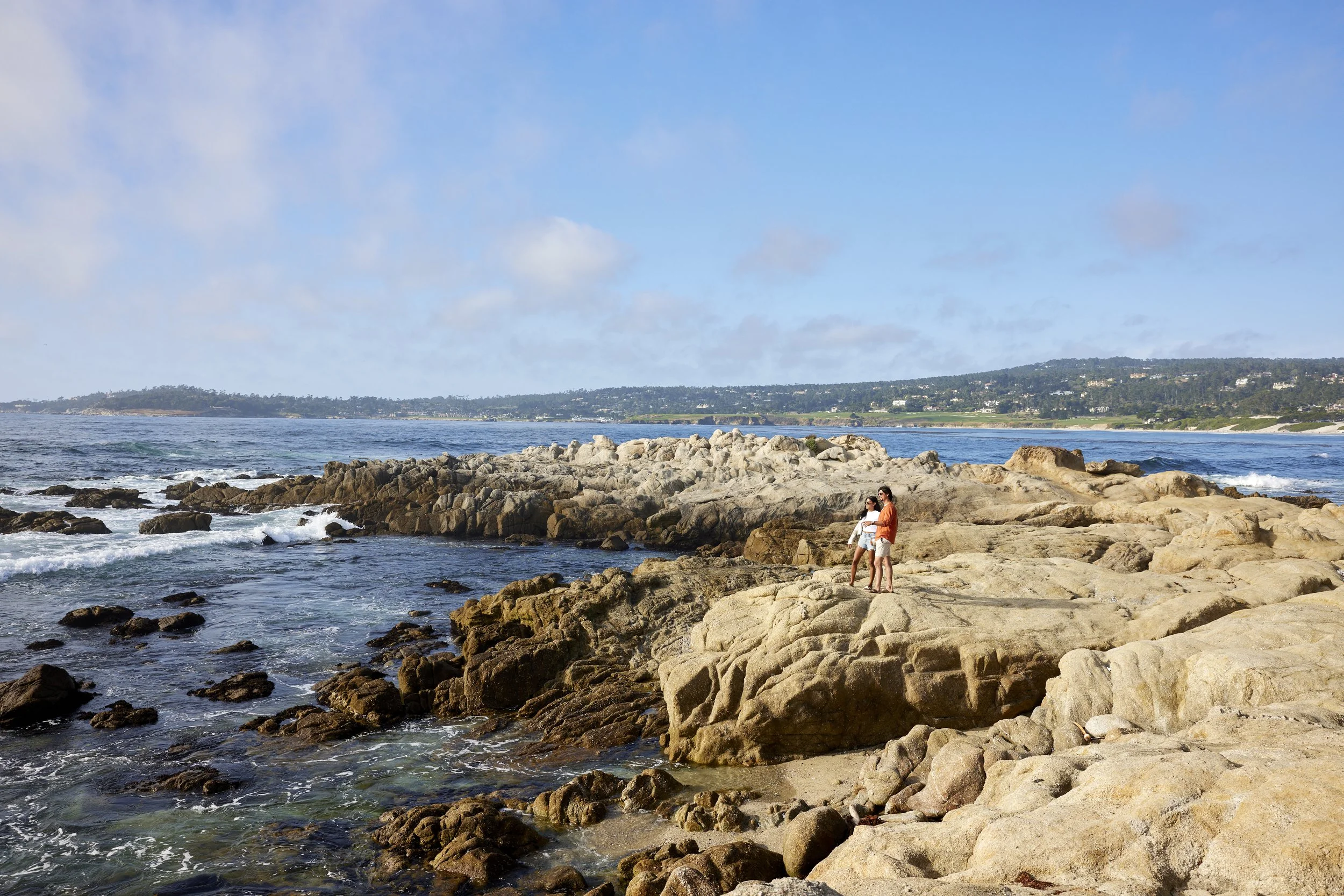 CarmelPoint_BeachBluff_1623.jpg