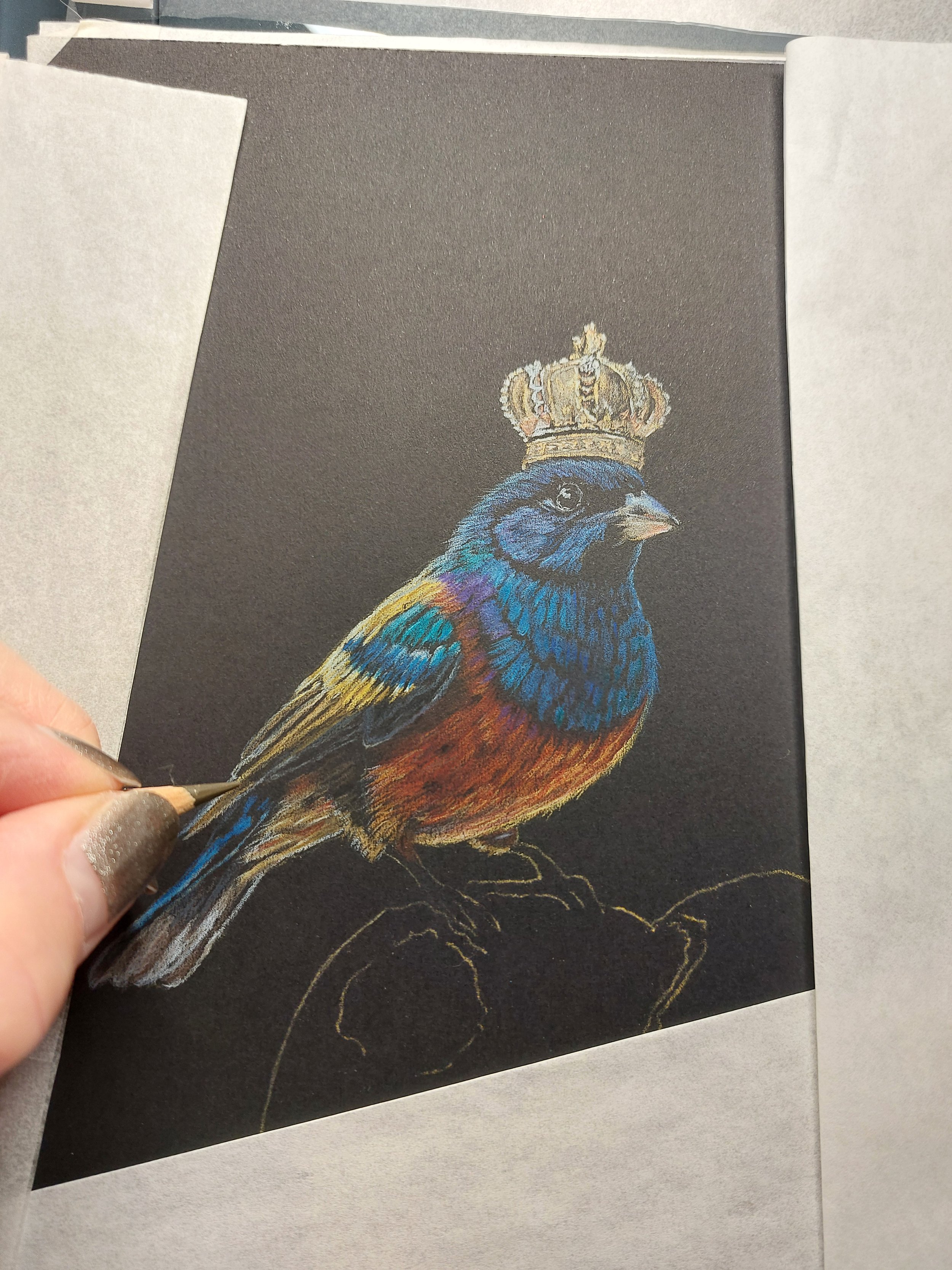 Artist’s hand working on a crowned bunting drawing in progress, part of the IMBOLC piece begun earlier in the year.