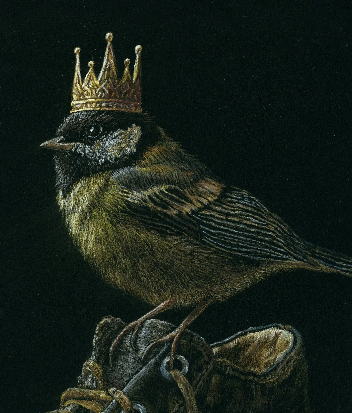“Close-up of a crowned songbird perched on a worn leather shoe, drawn in colored pencil on black.