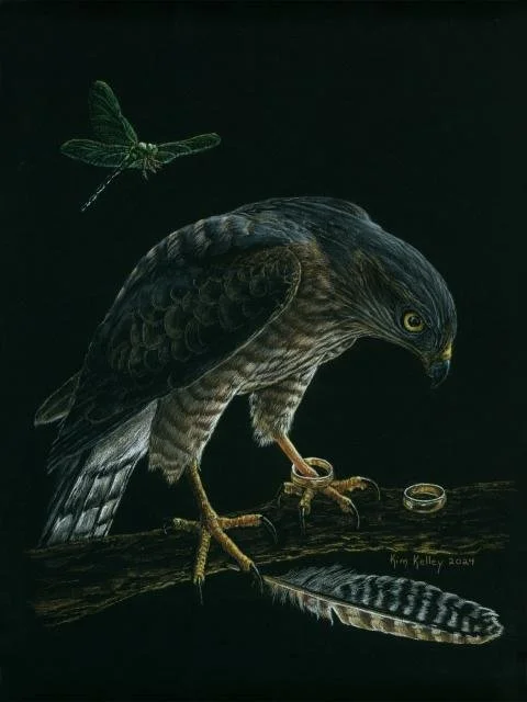 A sharp‑eyed hawk stands steady on a branch, one gold band around her talons and another resting nearby. A striped feather lies beneath her, while a green dragonfly hovers in the air. The scene highlights balance, stillness, and attentive presence. *