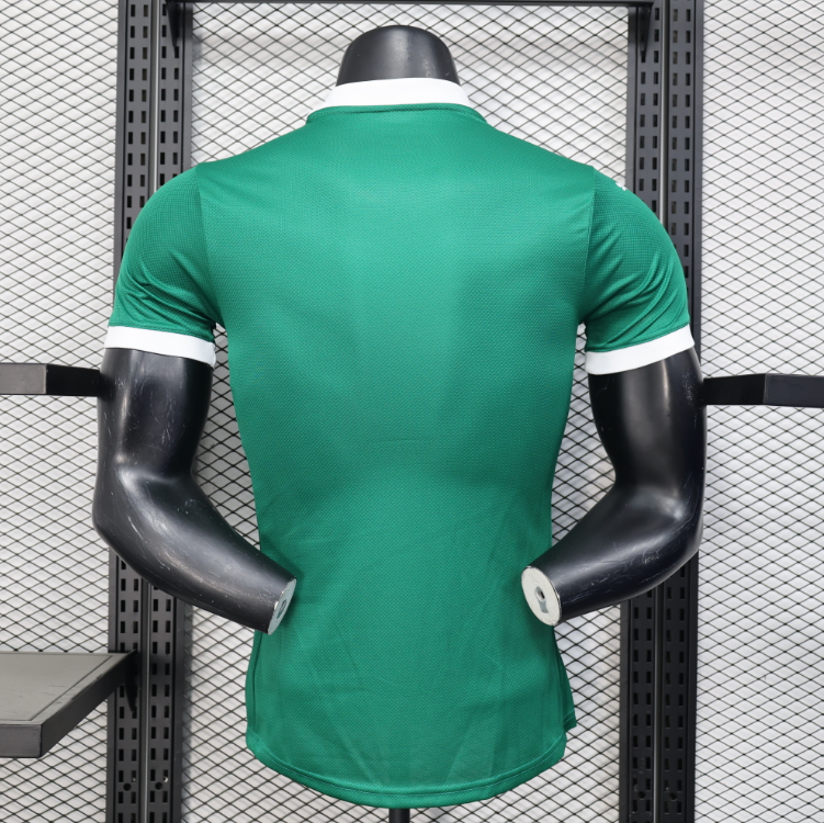 Palmeiras Home 25.26 2.png