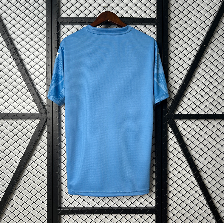 Palmeiras Goalkeeper blue 25.26 2.png