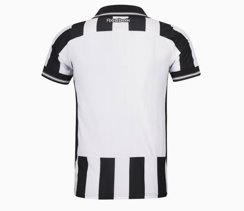 Botafogo Home 25.26 2.png