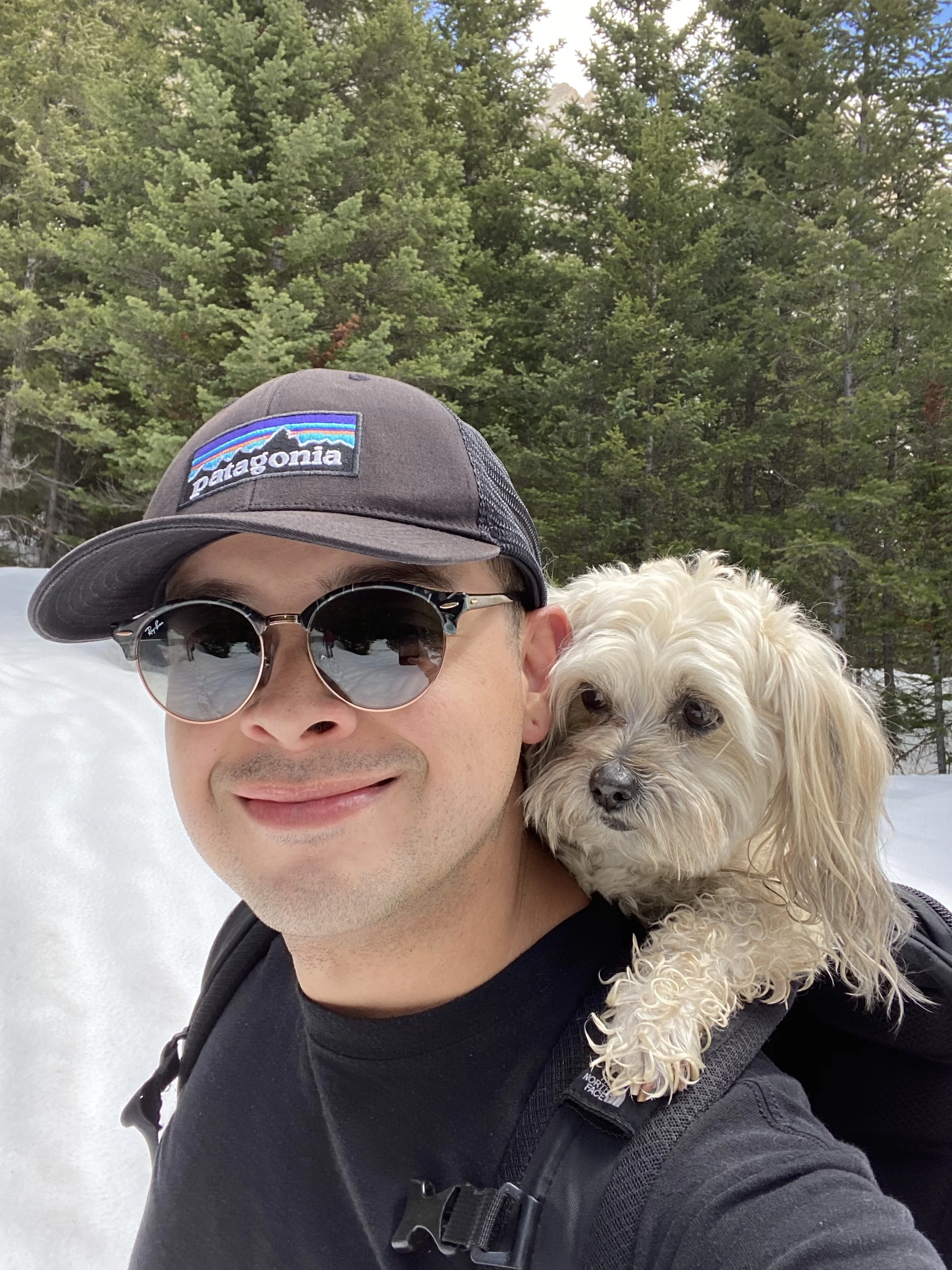 Hiking Tetons National Park