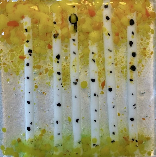 Aspen Trees Nightlight