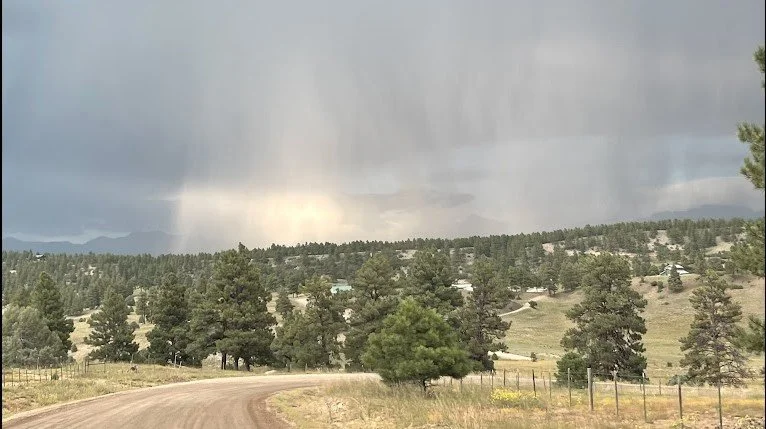 A rural landscape with a dirt road winding through a grassy area and pine trees, under a cloudy sky with a rainstorm in the distance.