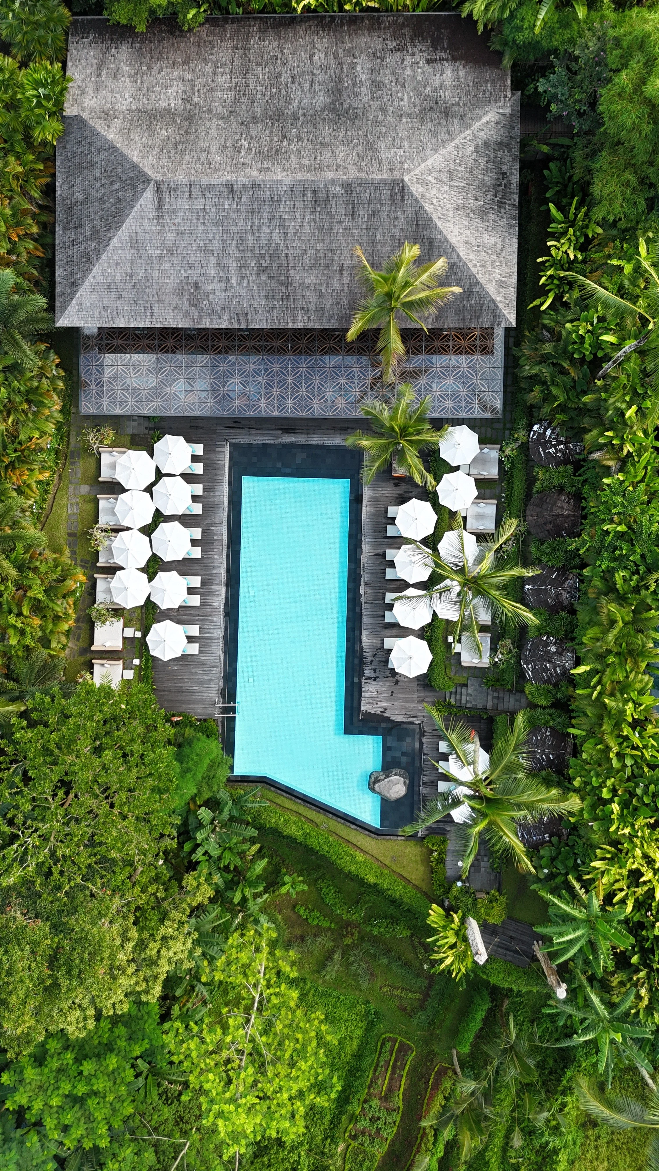 dji_fly_20260316_093004_0031_1773633612594_photo.jpeg