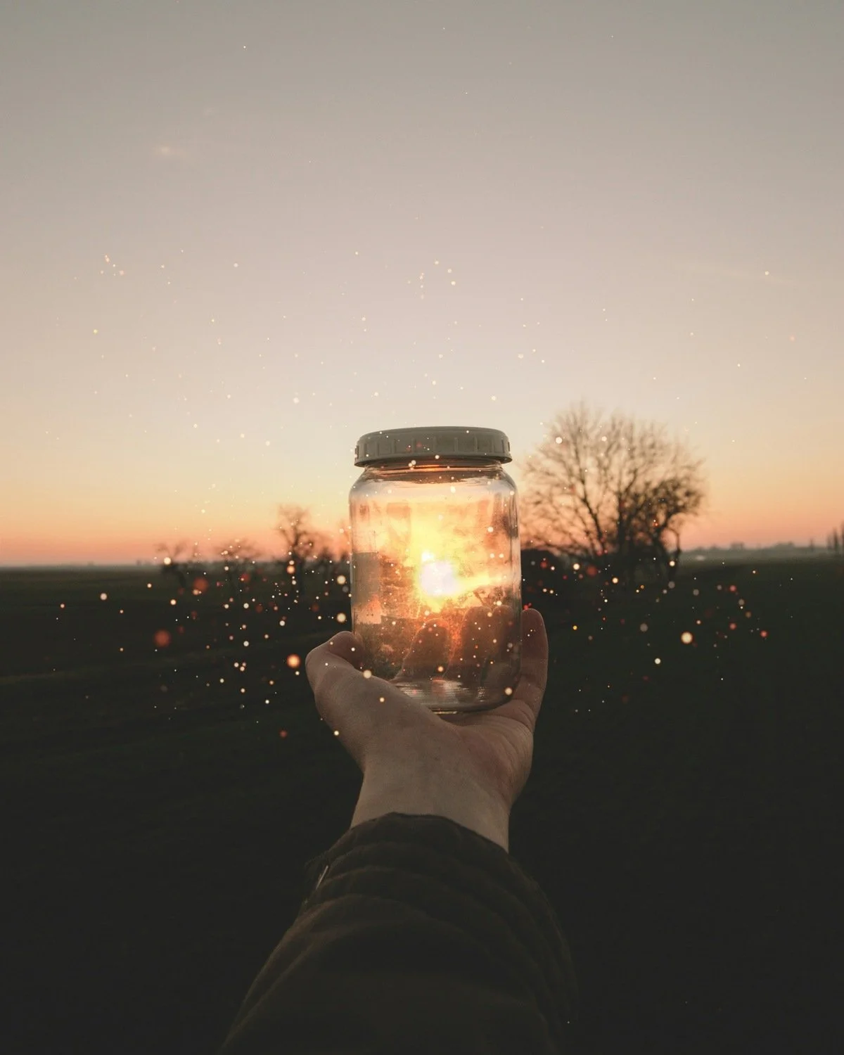 A hand holding a glass jar with a lid, with the setting sun and a few trees in the background, creating a silhouette during sunset.