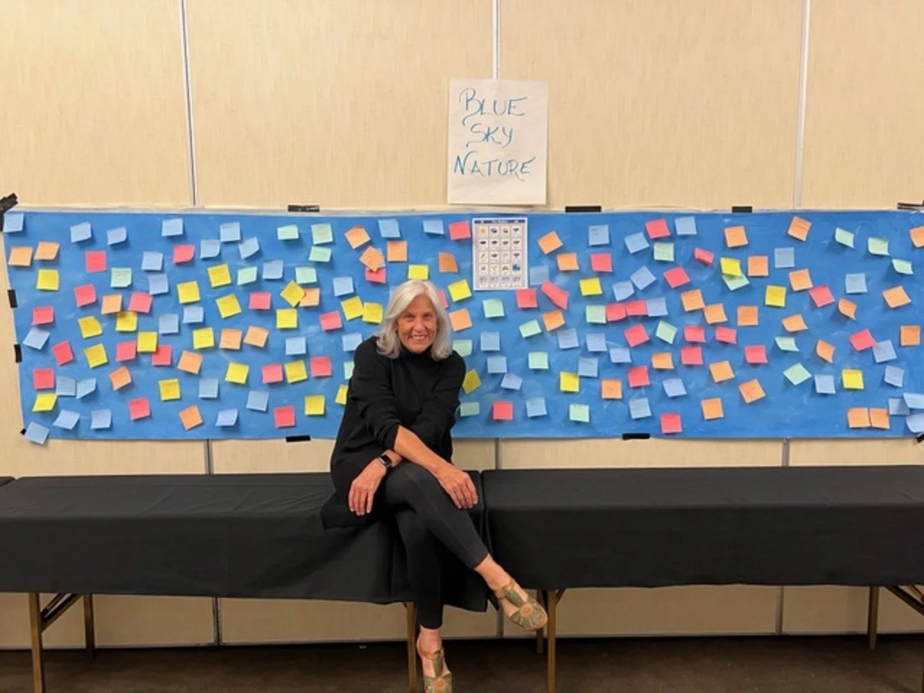 A woman sitting on a black table in front of a blue board covered with multicolored sticky notes. There is a sign above the board that reads 'Blue Sky Nature' and a chart post below it.