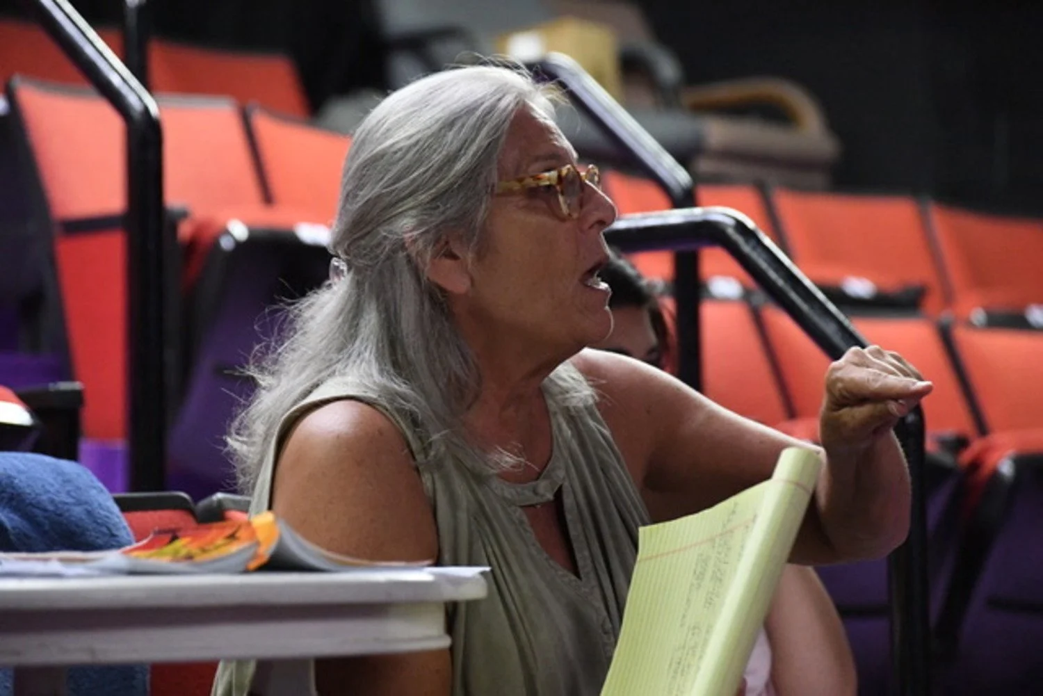 A woman with long gray hair, wearing glasses and a sleeveless top, sitting in a stadium with red and purple seats, holding a yellow notepad.