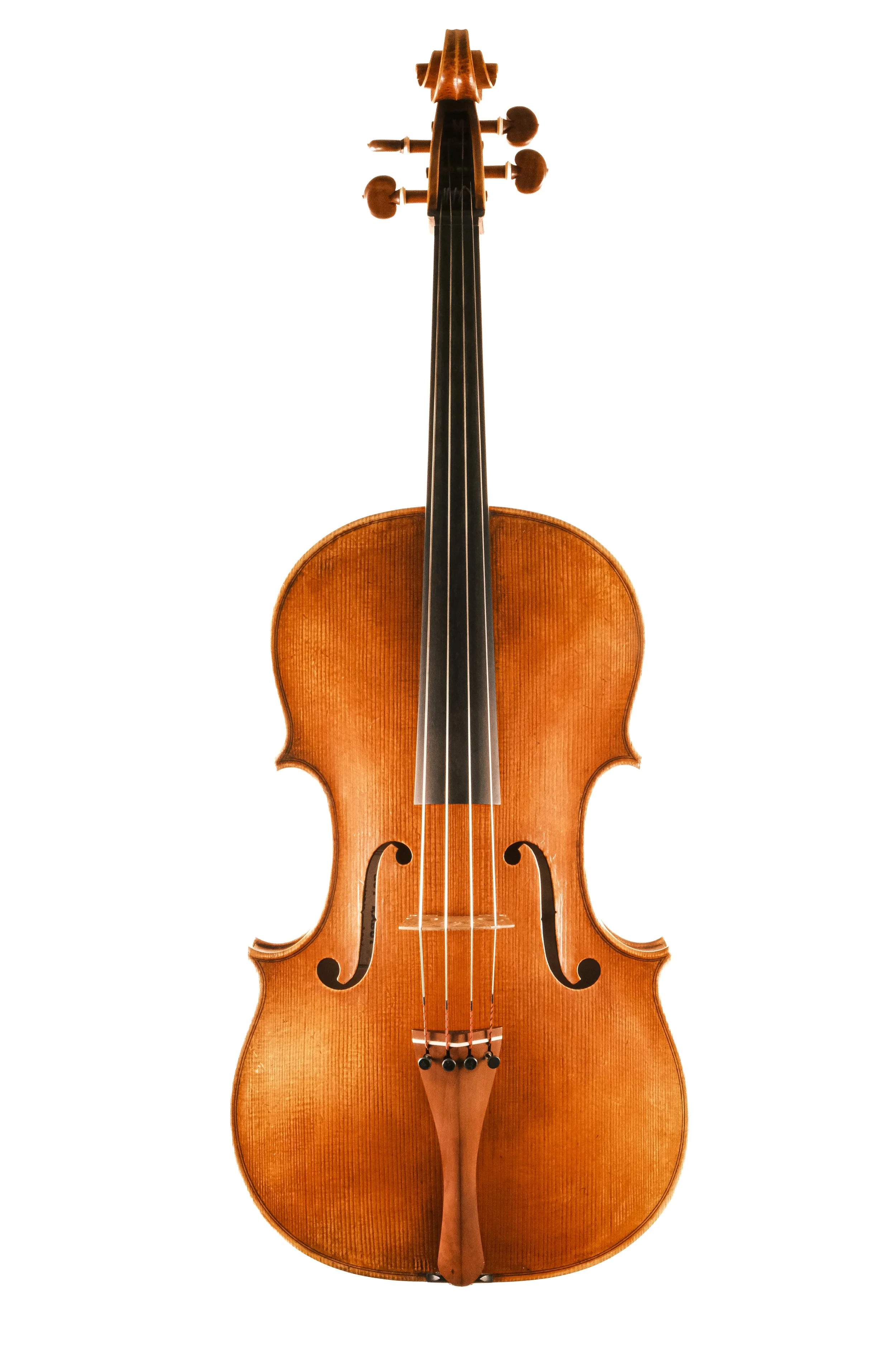 DSCF7238.jpg
