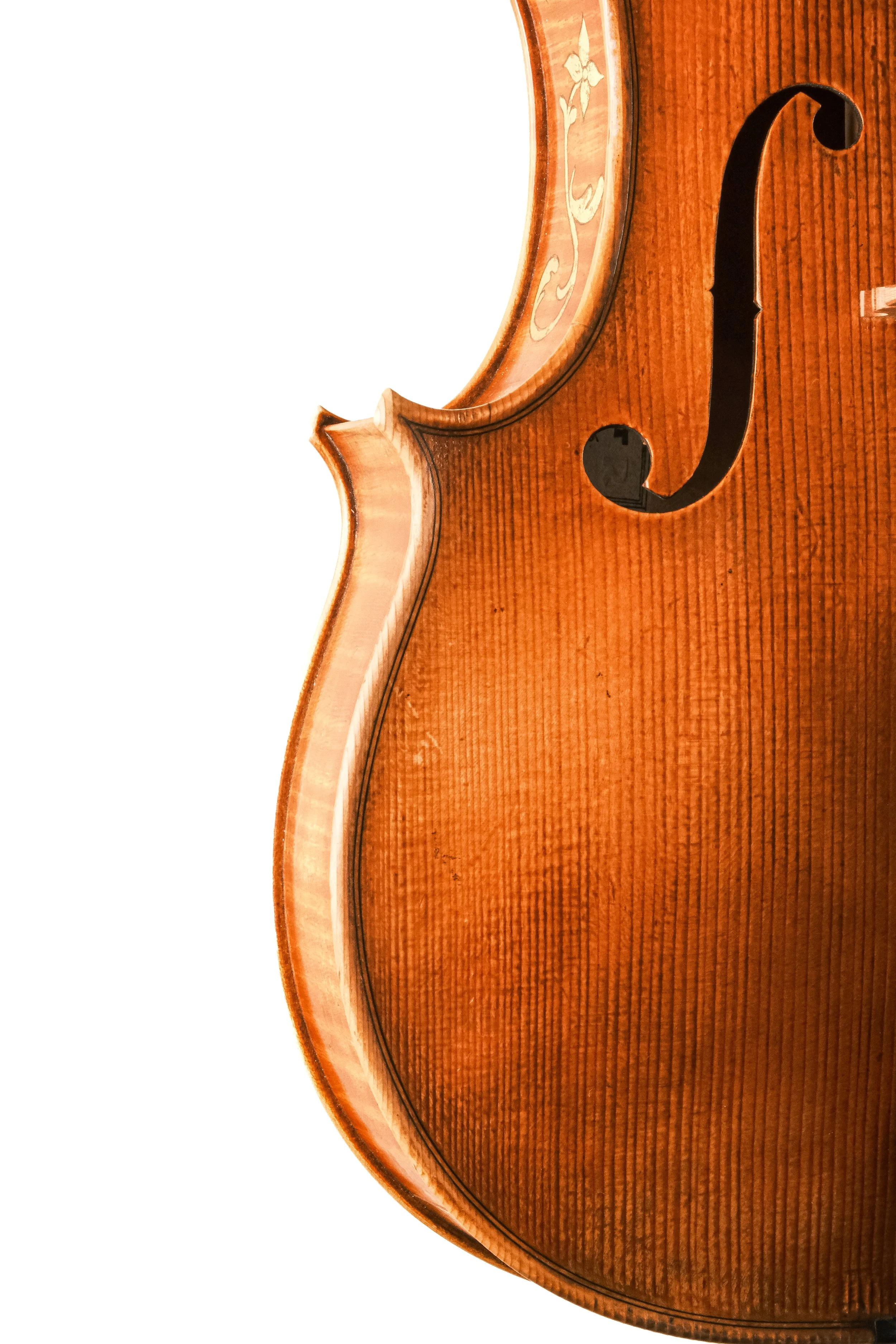 DSCF7239.jpg