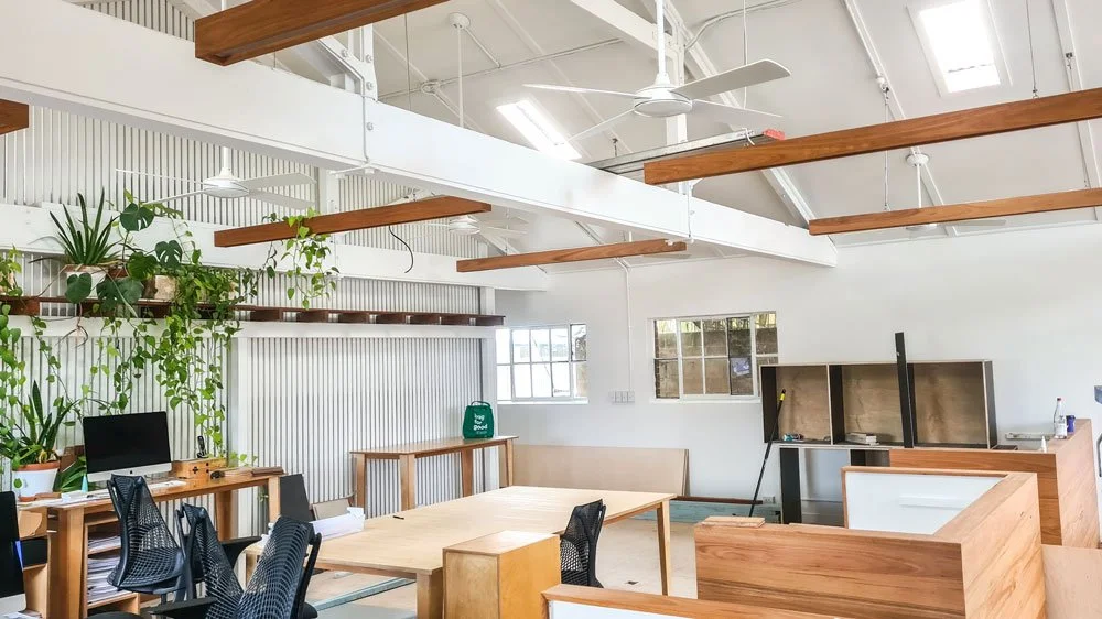 Bright office space with white walls, wooden accents, green plants, and furniture, including desks, chairs, and a computer.