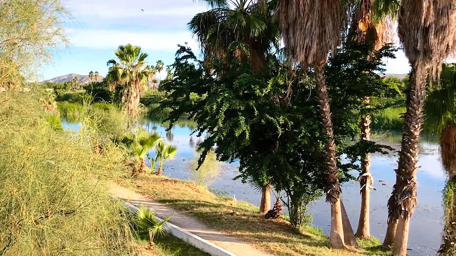 Screen Shot 2021-06-04 at 8.26.55 PM.png