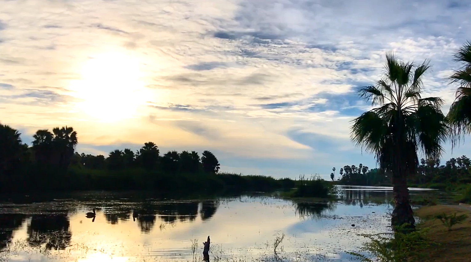 Screen Shot 2021-06-04 at 8.26.20 PM.png