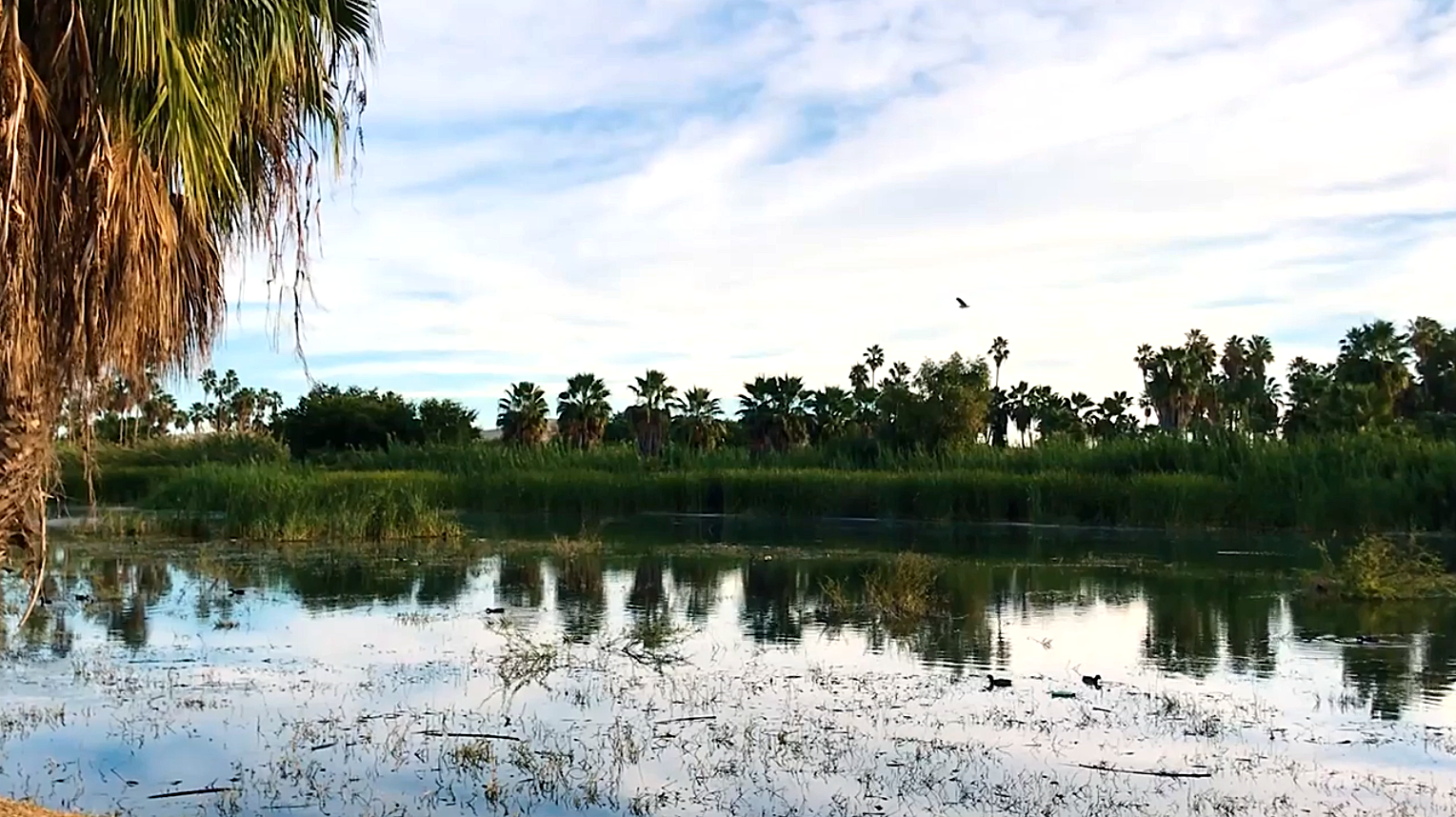 Screen Shot 2021-06-04 at 8.25.59 PM.png