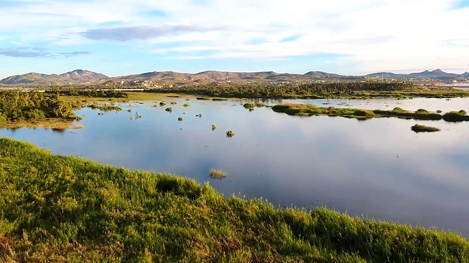 Screen Shot 2021-06-04 at 8.23.01 PM.png