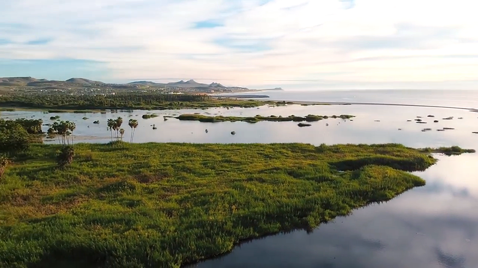 Screen Shot 2021-06-04 at 8.27.09 PM.png