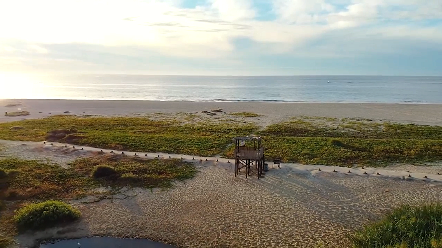 Screen Shot 2021-06-04 at 8.26.09 PM.png